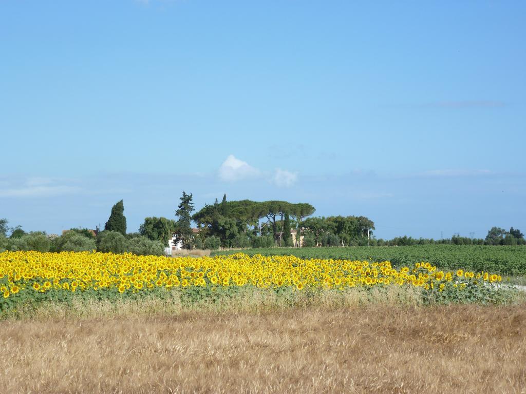Casa Vacanze Vignarca - Localita Perelli Riotorto Zewnętrze zdjęcie